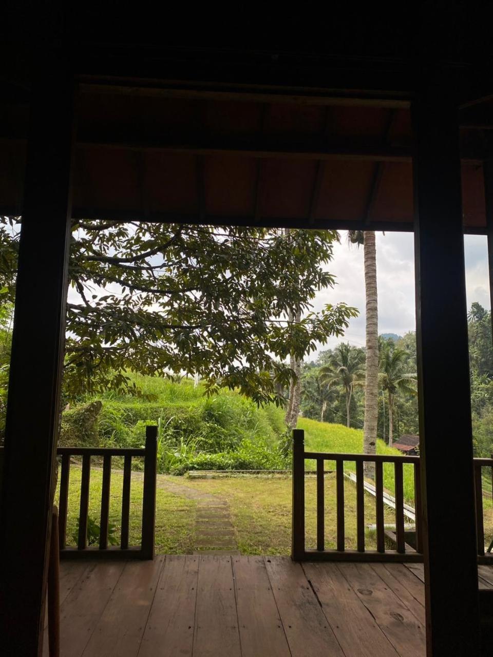 Uma D'Nyuh Homestay Singaraja Esterno foto