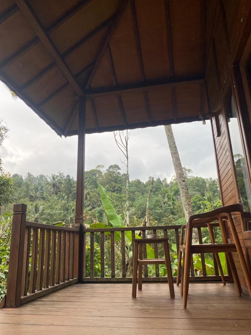 Uma D'Nyuh Homestay Singaraja Esterno foto