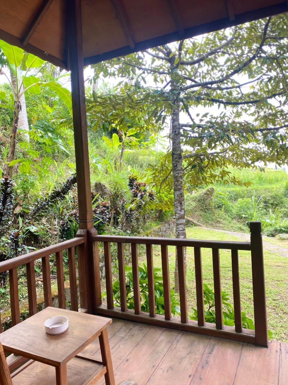 Uma D'Nyuh Homestay Singaraja Esterno foto
