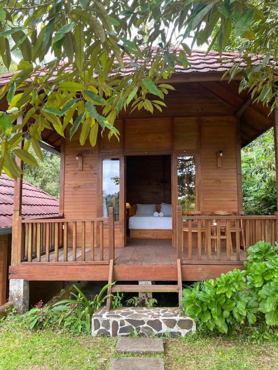 Uma D'Nyuh Homestay Singaraja Esterno foto