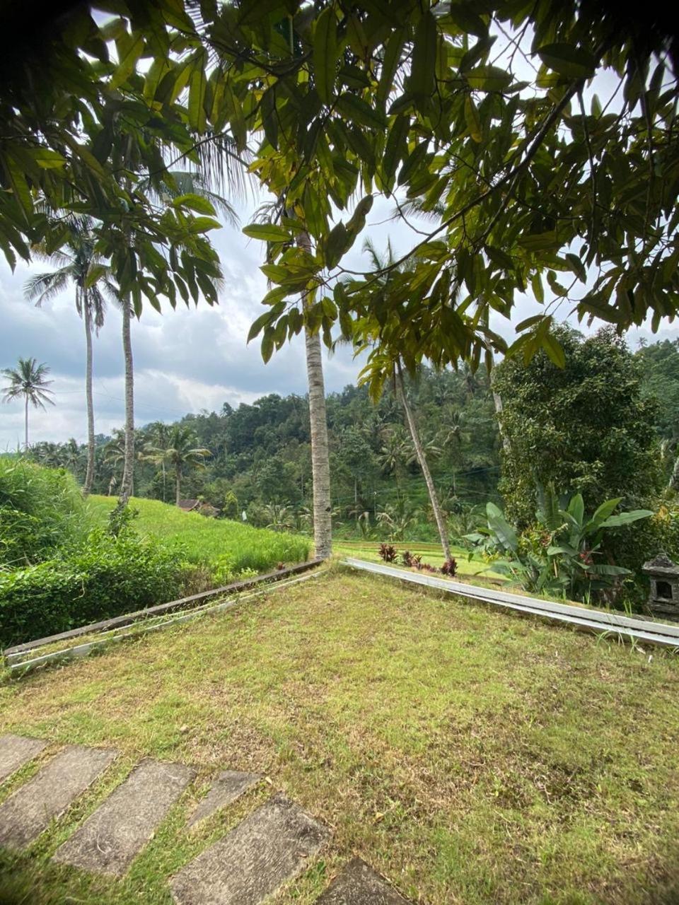 Uma D'Nyuh Homestay Singaraja Esterno foto