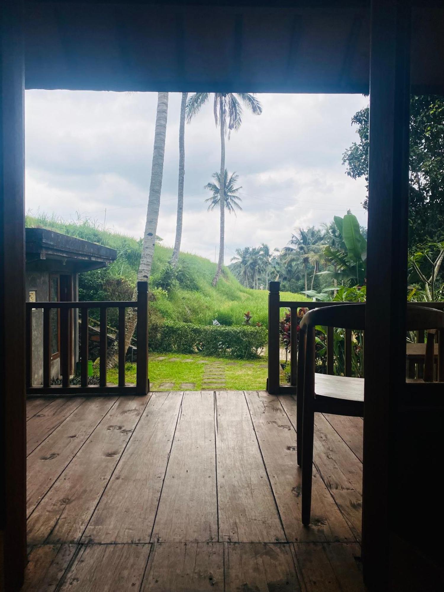 Uma D'Nyuh Homestay Singaraja Esterno foto